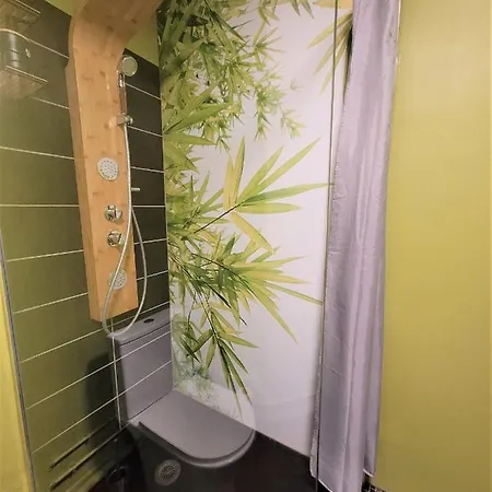 Apartment Nid Douillet Plein De Charme Avec Parking Gratuit *